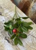 Lingonkvist med röda bär och gröna blad. I kvist om fler små grenar som blir en liten bukett. Välarbetad konstgjord modell. Län