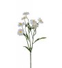 Vacker vit Rosenskära kvist med flera blommor och gröna blad. Sommar fin blomma som passar lika bra ensam som till utfyllnad i e