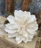 Vacker Dahlia modell cream med mjukt murrigt gröna blad. I fyllig fin modell som gör sig lika bra ensam som tillsammans med and