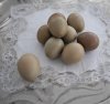 Dekorations ägg i vacker verklighetstrogen modell. Säljes i pack om fyra stycken i två olika nyanser. Äggen går i brun/beiga ny