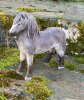Hästen Apelgrå en handmålad marmorerad grå/svart skönhet med grå/svart man att dekorera med. Designad av Erkers Marie Persson Le