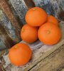 Mandarin/ Clementin i rundad orange modell, att dekorera med. Välarbetad, verklighetstrogen, konstgjord modell. Mäter ca cm pe