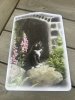 Skärbräda med katt Gårdskatt av Lena Petersson