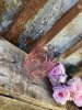 Tulpan ljuslykta i rosa glas