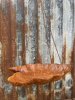 Skålformat hängande fågelbad i rost 