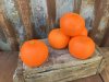 Mandarin / clementin i konstgjord modell