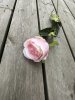 Rosa ros med gröna blad och större blomma