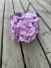 Stor lila Hortensia i fyllig modell