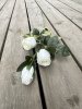 Vit ros buskros med flera blommor i kvist modell
