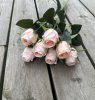 Klassisk ros med gröna blad i mixade nyanser