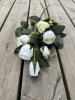 Vit ros buskros med flera blommor i kvist modell