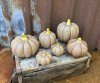 Pumpa i keramik modell Nougat