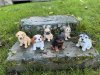 Söt och gullig hundvalp att dekorera med
