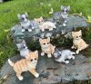Söt kattunge att dekorera med 