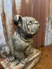 Stor hund Bulldogg i antik guld 
