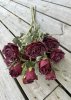 Vacker kvist med flera mörkröda rosa rosor med gröna blad