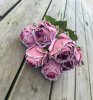 Rosa ros med fyllig blomma och gröna blad
