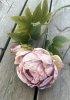 Stor vacker rosa pion i torkad konstgjord modell