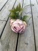 Stor vacker rosa pion i torkad konstgjord modell