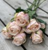 Vacker ros med gröna blad i en mjuk nyans av rosa aprikos. Välarbetad vacker konstgjord ros med hög verklighets trogen känsla. L