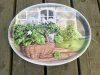 Oval bricka med grå kattunge i korg