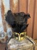 Mask teatermask i svart och guld med fjädrar