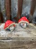 Flugsvamps tomte med svamp hatt