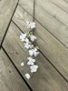 Vit gren av körsbärsblom i större med blommor och blad