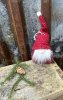 Söt skogs tomte att hänga och dekorer med 