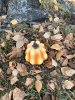 Orange pumpa i porslin att dekorera med 