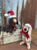 Taxon jul hund Tax med tomteluva 