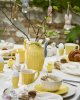 Mynte Kanna / tillbringare med handtag Lemonad