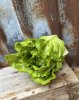 Sallad salladskål konstgjord att dekorera med