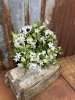 Vacker krans med vita blommor 