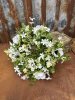Vacker krans med vita blommor 