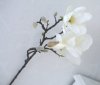 Vacker vit magnolia gren med flera knoppar och blommor . I större modell. En välarbetad verklighetstrogen konstblomma. Att ha i