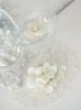Flytande vita orkidéer Phalaenopsis blomma. Att dekorera med konstblomma i välarbetad och verklighets trogen modell . Varje blo