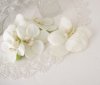 Flytande vita orkidéer Phalaenopsis blomma. Att dekorera med konstblomma i välarbetad och verklighets trogen modell . Varje blo