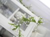 Lång girlang med brudslöja vita små blommor på grön kvist. Att dekorera, pynta och duka med . Vacker mitt på bordet, vid krönet