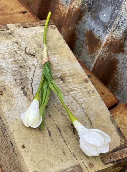 Krokus med dubbla blommor i snitt modell. Konstgjord modell med hög verklighetstrogen känsla. Finns i tre nyanser -Lila -Vit -Gu