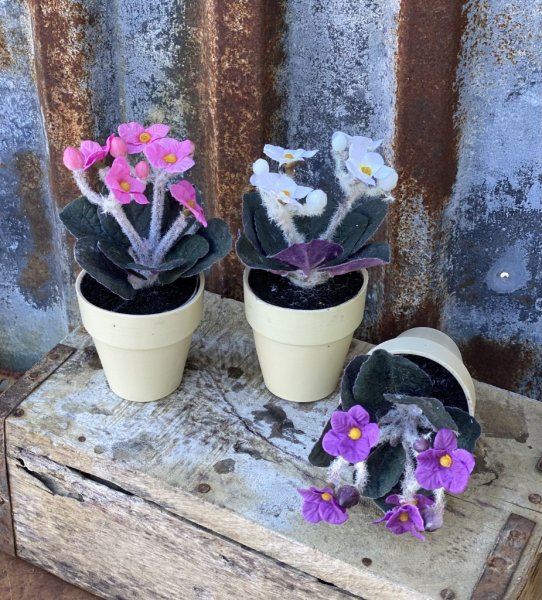 Liten Sant Paula i kruka med flera blommor och gröna blad. Finns i tre nyanser -Vit -Rosa -Lila blå Står i en ljus gul kruka m