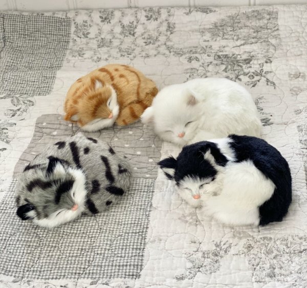 Söta mjuka kattungar som sover. Finns i fyra olika modeller/färger -Vit -Grå -Gul -Svart Mjuka och lena med en verklighets känsl