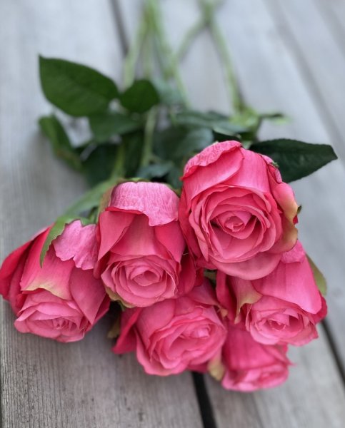 Vacker aprikos rosa ros med gröna blad. Välarbetad vacker konstgjord ros med hög verklighets trogen känsla. Lika vacker ensam so