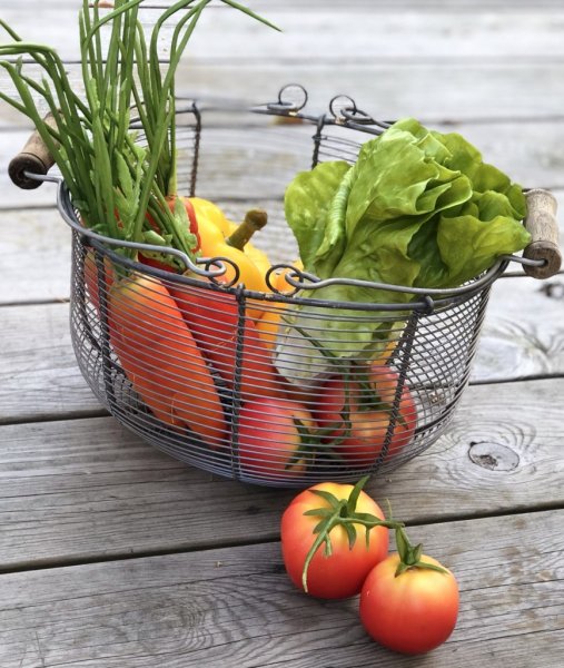 Sallad salladskål i en frisk grön nyans, konstgjord att dekorera med. Välarbetad med verklighets känsla. Från Mr Plant Mäter ca