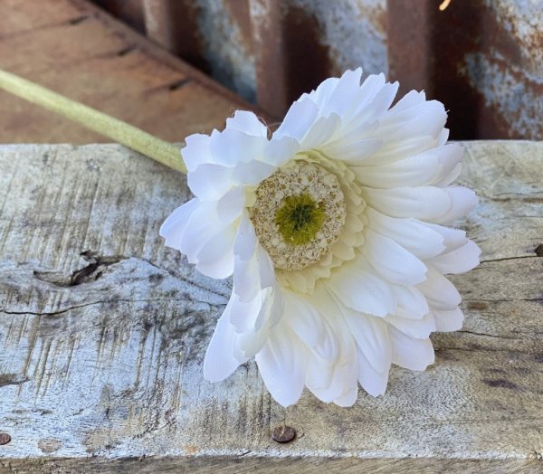 Vit gerbera i utslagen model med lång stjälk. Välarbetad och konstgjord modell som gör sig lika bra ensam som tillsammans med fl