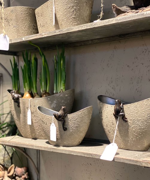 Klättrande groda i antik brunt att dekorera med