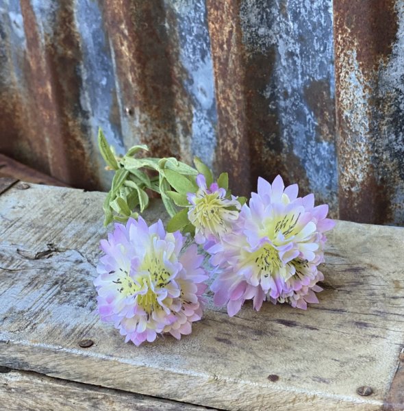 Bukett med tre stycken Scabiosa blommor i tre olika storlekar och tre olika nyanser -Vit -Rosa -Lila En vacker sommar blomma so