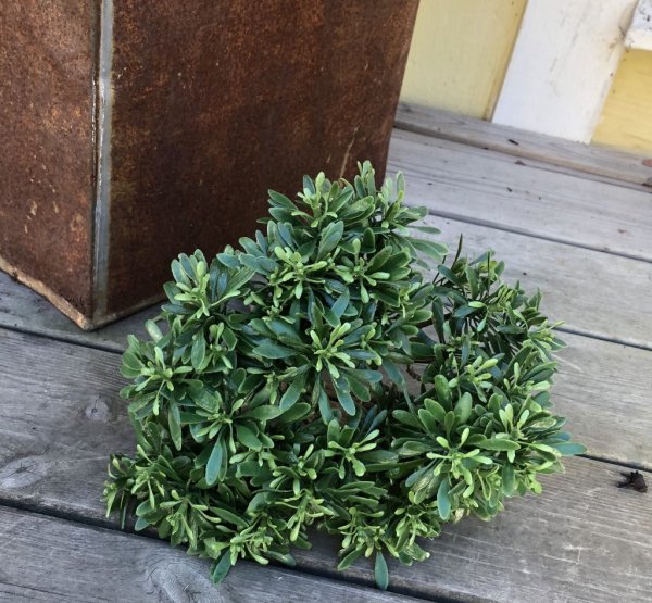Stenört grön med stam i bukett modell. Stilren och fräsch att dekorera med . Välarbetad och detaljfull i konstgjord modell. Från