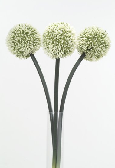 Vit /cream vit Allium blomma bollformad med grön stjälk. Välarbetad och vacker konstgjord blomma med verklighets känsla. Lika va