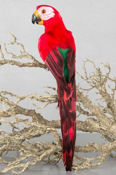 Vacker röd papegoja i och av fjädrar och dun. Verklighetstrogen konstgjord och vacker modell. Större med vackert fjäder skrud ba